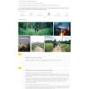 Mẫu giao diện website 
	Theme wordpress du lịch bi tour