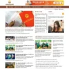 Mẫu giao diện website 
	Theme WordPress Luật Sư 5