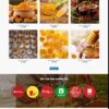 Mẫu giao diện website 
	Theme wordpress mật ong 3