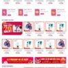 Mẫu giao diện website 
	Theme wordpress mỹ phẩm 19