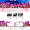 Mẫu giao diện website 
	Theme wordpress xkld 6