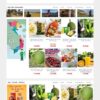 Mẫu giao diện website 
Theme wordpress bán trái cây đặc sản
