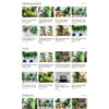 Mẫu giao diện website 
Theme wordpress blog về cây xanh