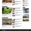 Mẫu giao diện website 
Theme wordpress tin tức xây dựng