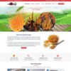 Mẫu giao diện website 
 đông trùng hạ thảo - Theme WordPress