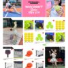 Mẫu giao diện website Theme wordpress shop bán dụng cụ thể thao pickleball