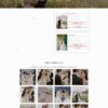 Mẫu giao diện website Theme wordpress thiệp cưới có chức năng lưu bút
