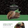 Theme wordpress bán cà phê 02