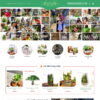 Theme wordpress bán cây xanh terrarium