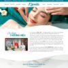 Theme wordpress spa 11
